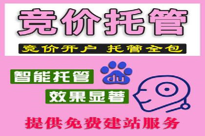 成功案例解读：SEM竞价员如何提高ROI